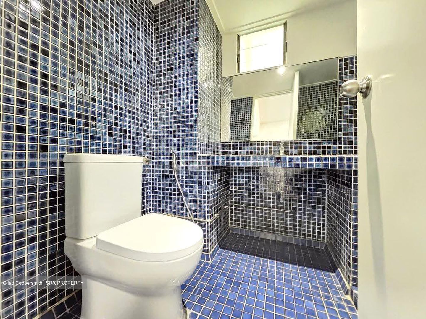 Dunearn Road (D11), Condominium #612757641
